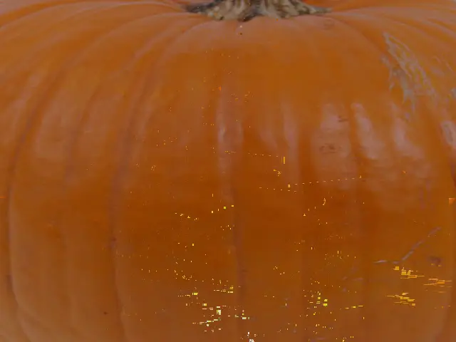 Pumpkin Carver Pro