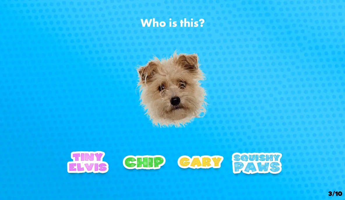 Nicky, Ricky, Dicky & Dawn: Tricky Trivia