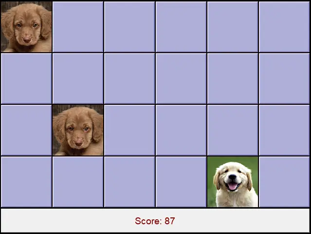 Cute Puppy Pairs