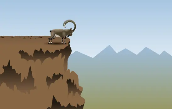 The Ibex