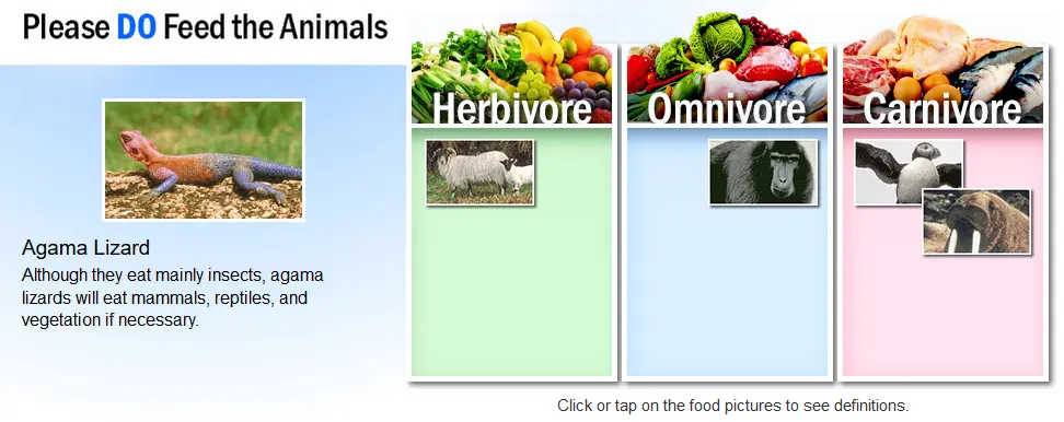 Please DO Feed the Animals