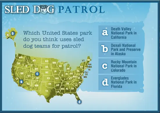 Sled Dog Patrol