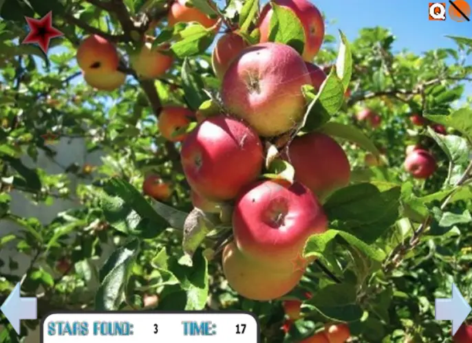 Apples Time: Hidden Stars