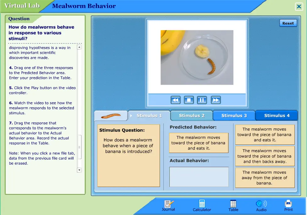 Mealworm Behavior