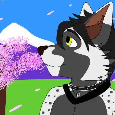 Spring avatar - Cherry blossoms