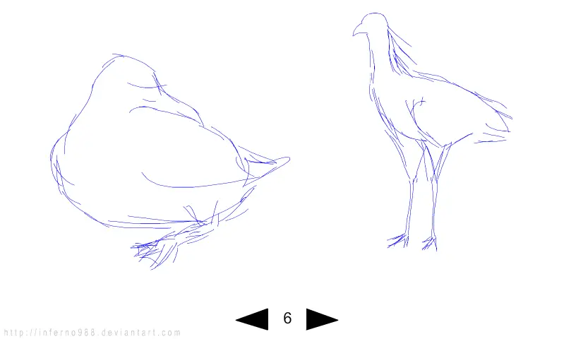 Sketch dump - birds