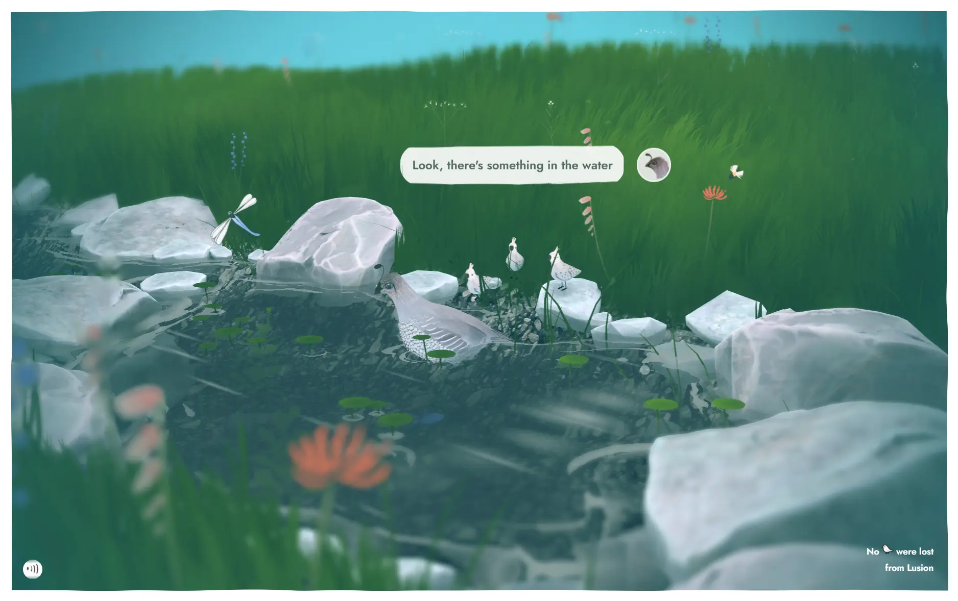 The Story About Little Bird Crossing the River