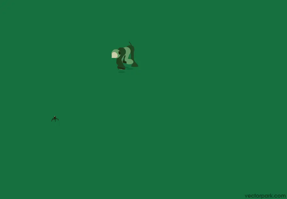 Spider