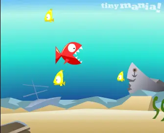 Fish Eat Fish