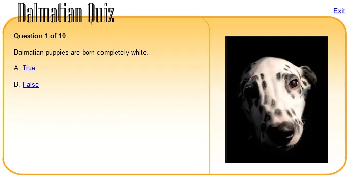 Dalmatian Quiz