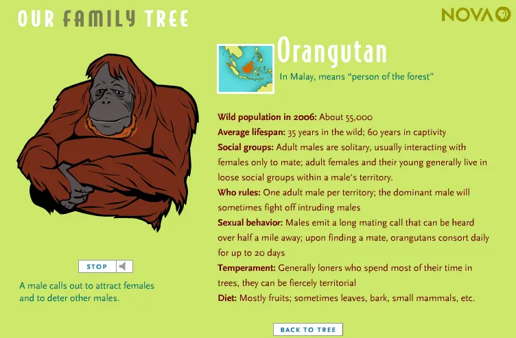 Our Family Tree