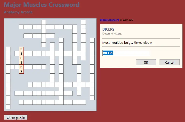 Major Muscles Crossword