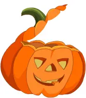 Novità Zucca