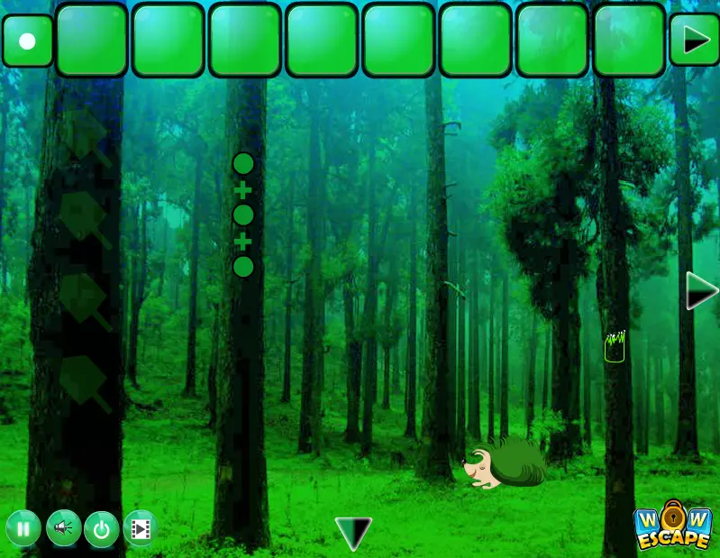 Dawn Mist Forest Escape