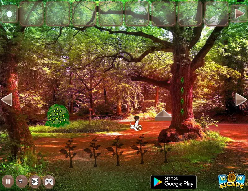 Moors Valley Forest Escape