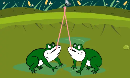 Together Forever