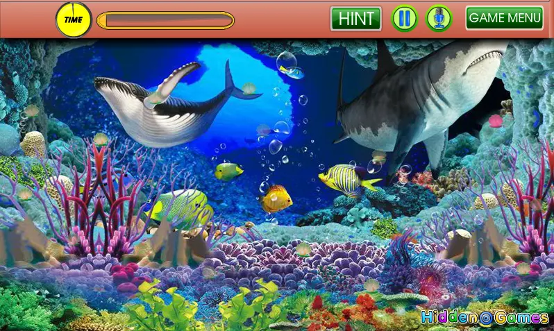 Underwater Hidden Shell