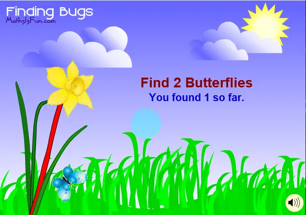 Finding Bugs