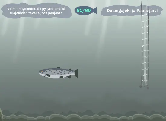 Oulangan Taimen