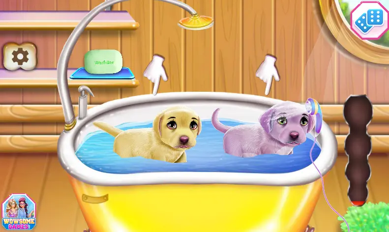 Labrador Quadruplets Newborn Caring