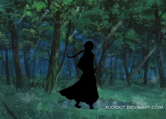 Shadow Art Animation