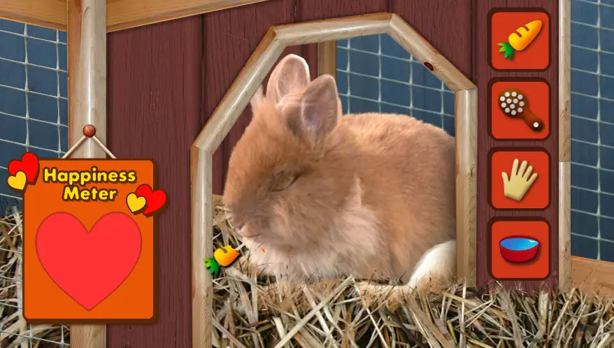 Play with Bunji