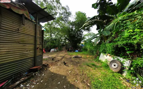 Kampong Buangkok - Backyard