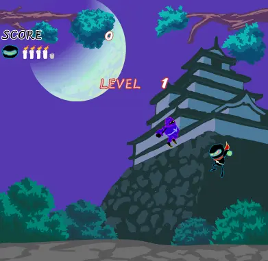 Ninja Ninja