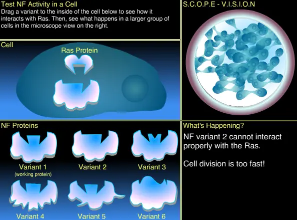 Test a Protein's Activity