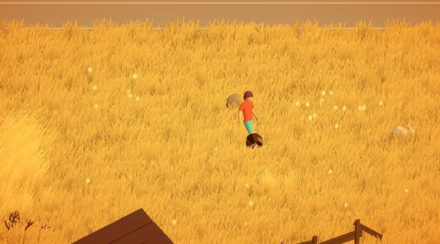 Grassland