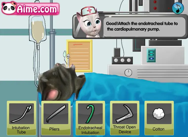 Tom Cat Stomach Surgery