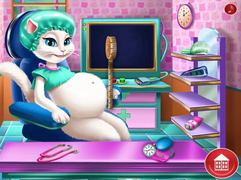 Kitty Pregnant Check-up