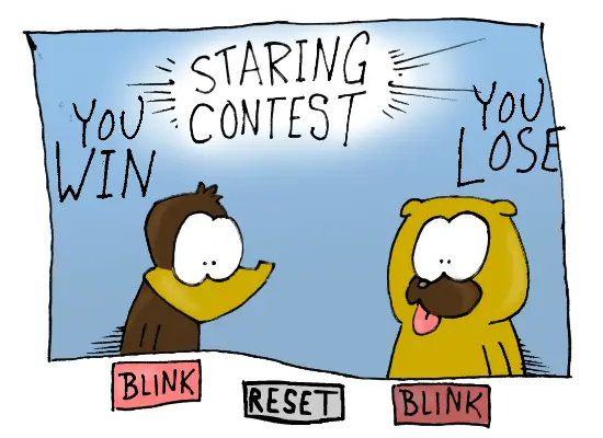 Staring Contest