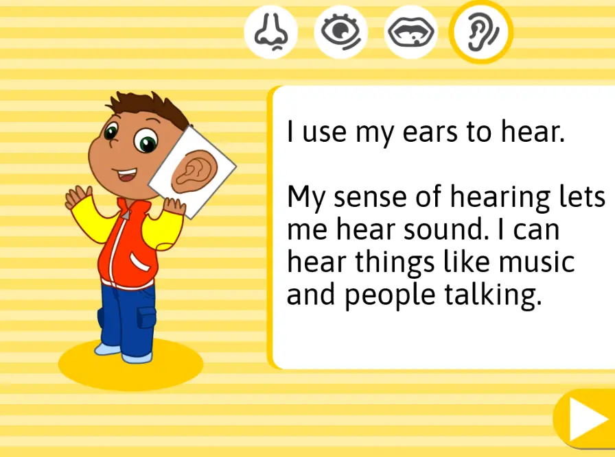 5 Senses