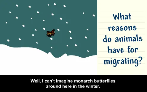 Migration: with Annie & Moby
