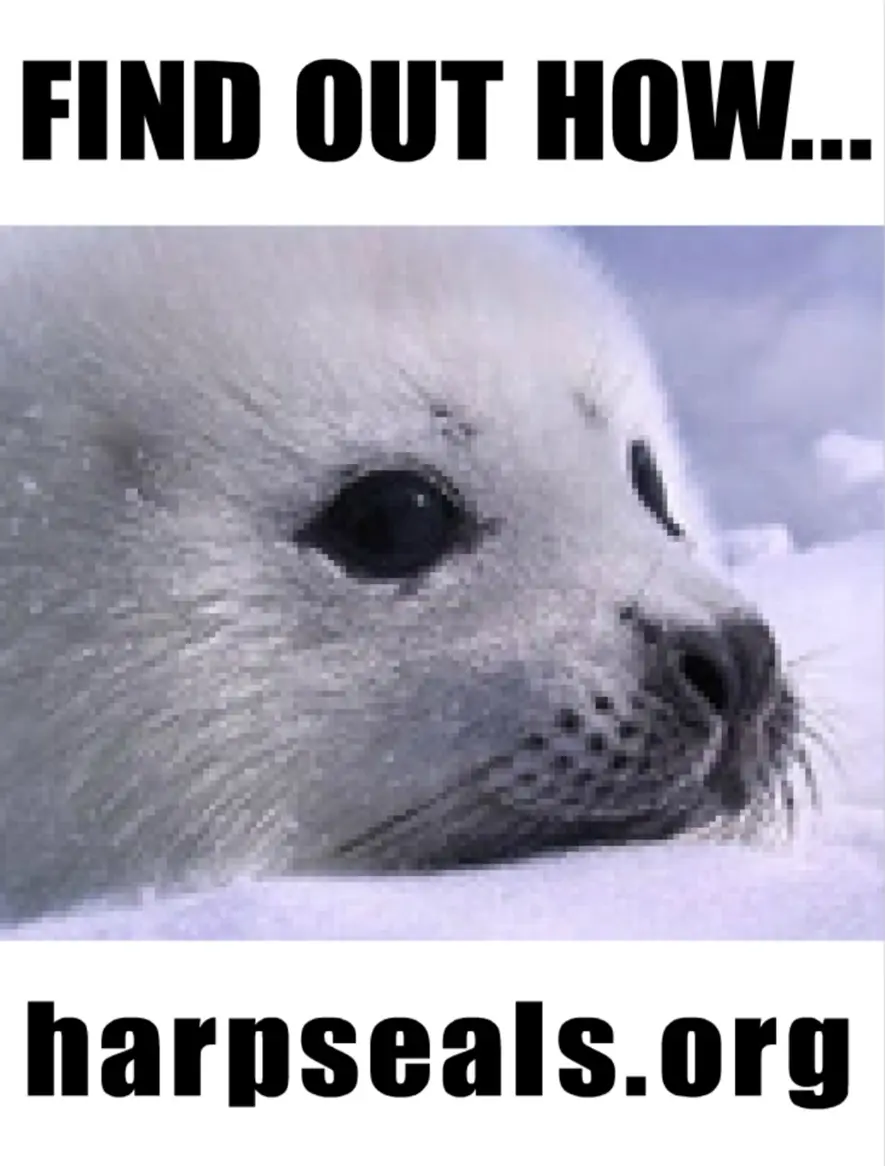 Help this Pup Flash Banner Ad