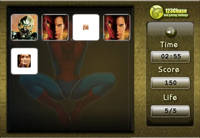 Spiderman's Puzzle