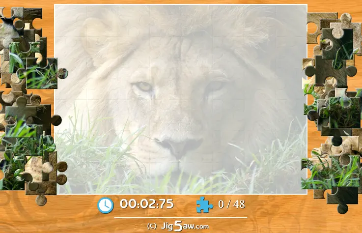 African Lion