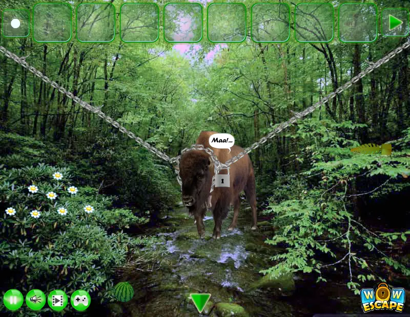 Escape Game Save The Country Bull