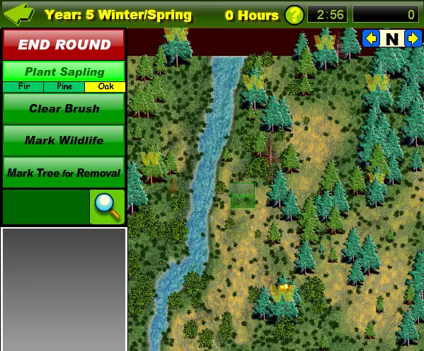 Eco-Forestry Challenge
