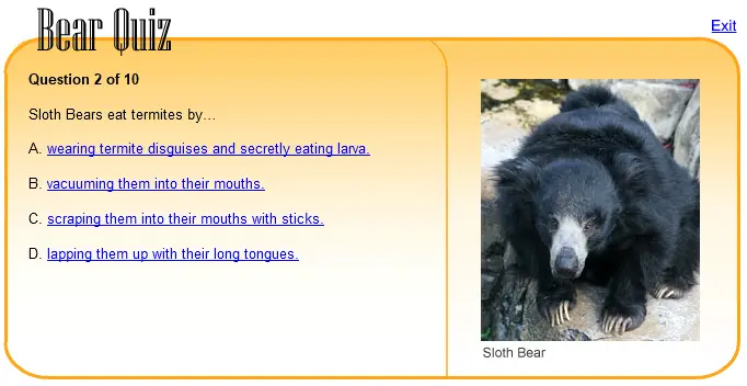 Bear Quiz