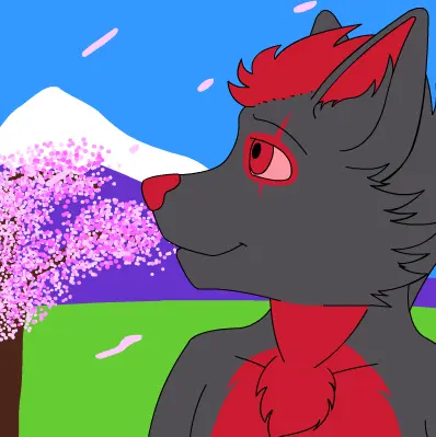 Spring avatar - Cherry blossoms