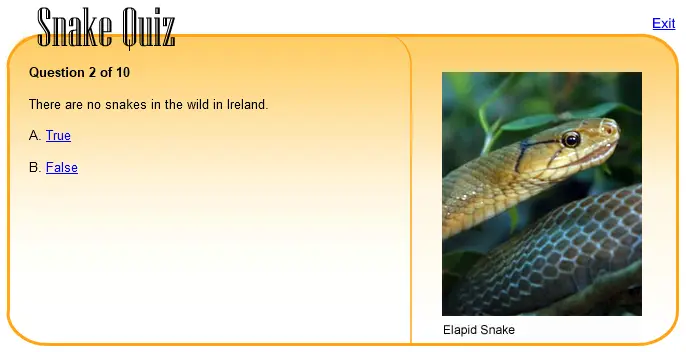 Snake Quiz