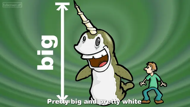 Narwhals