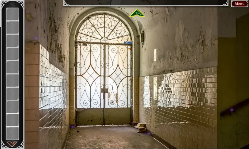 Noisy Asylum