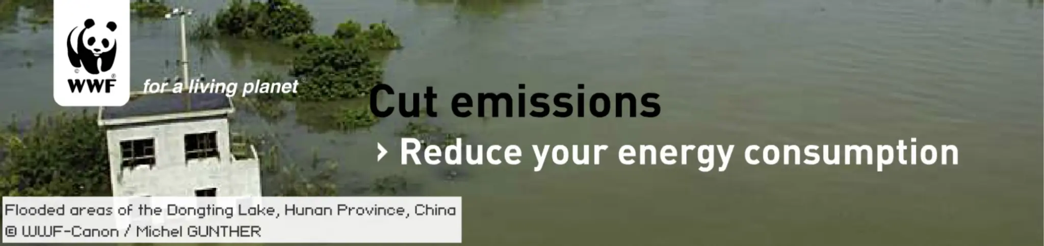 WWF: PowerSwitch! Campaign Website Header