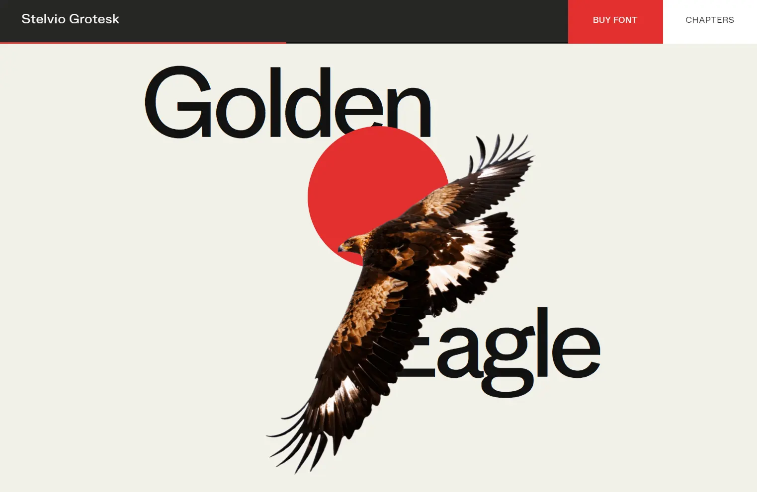 Stelvio Grotesk