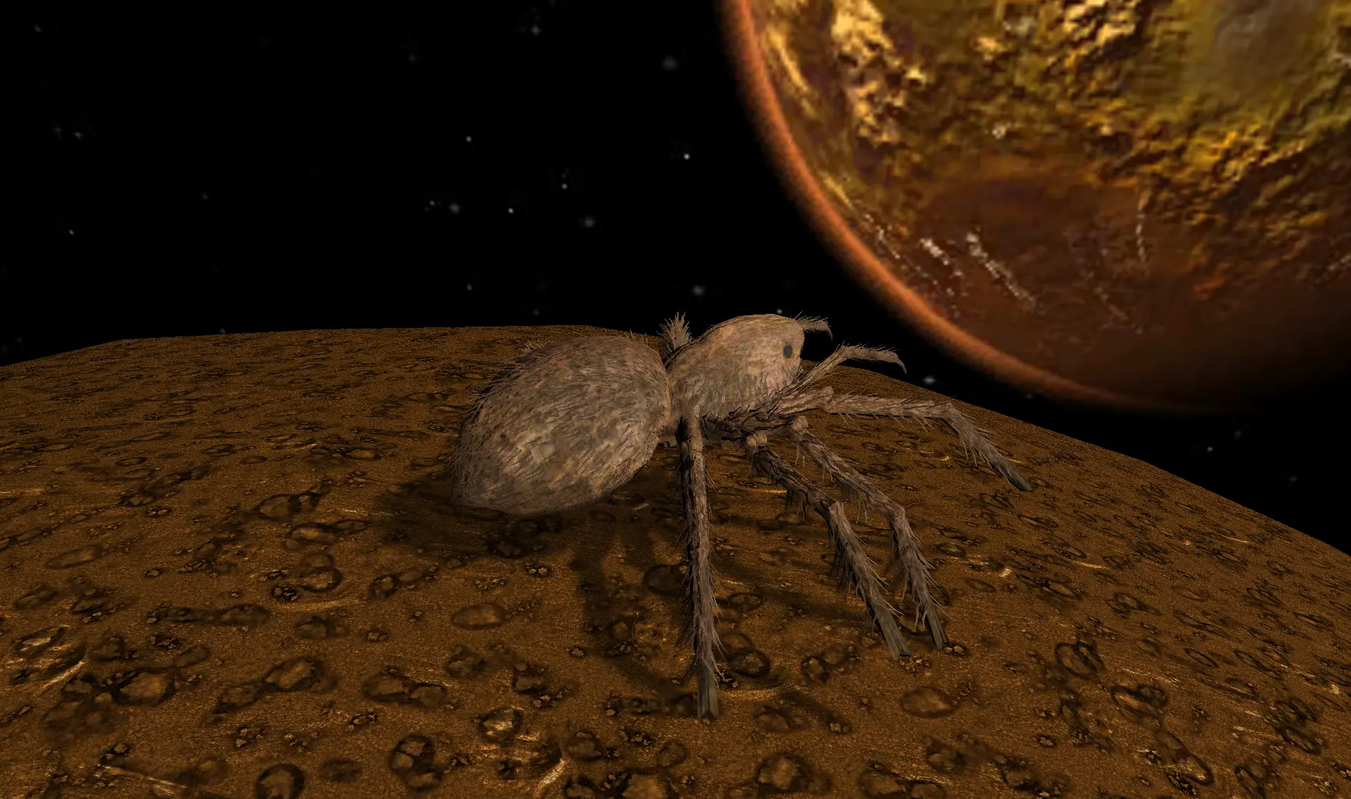Cute Spider