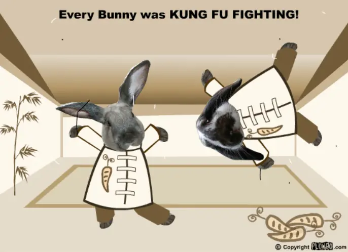 Crouching Bunny, Hidden Rabbit