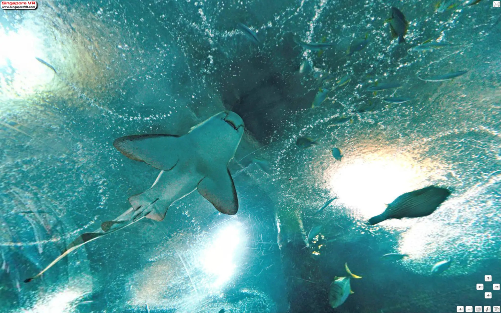 Underwater World Singapore Virtual Reality Image